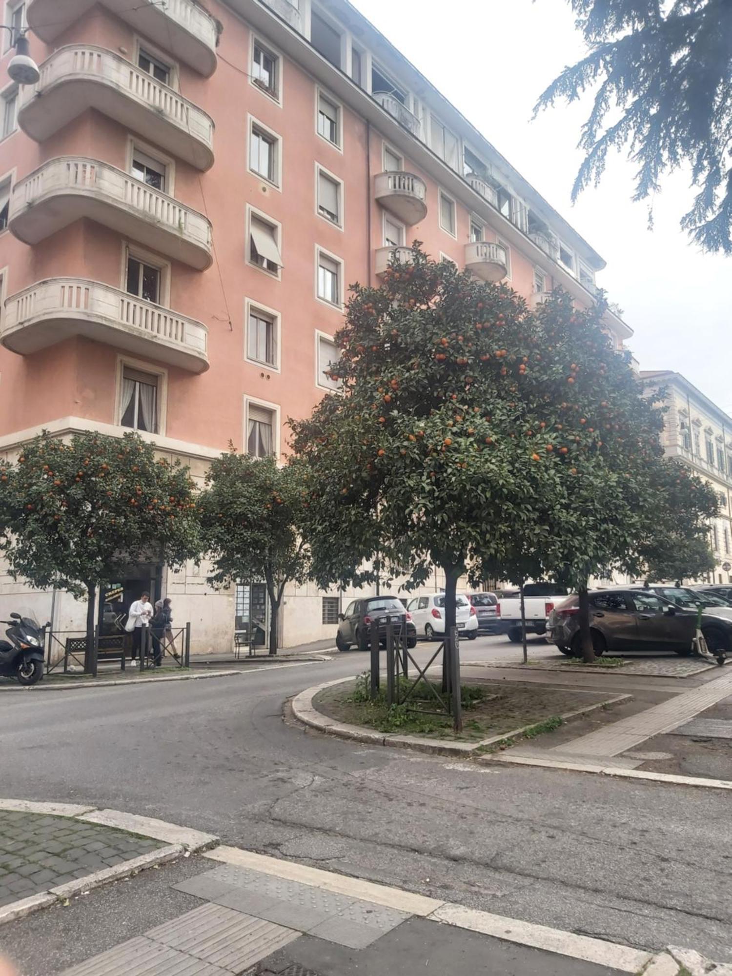 Bed and Breakfast Holiday Colosseum Rom Exterior foto